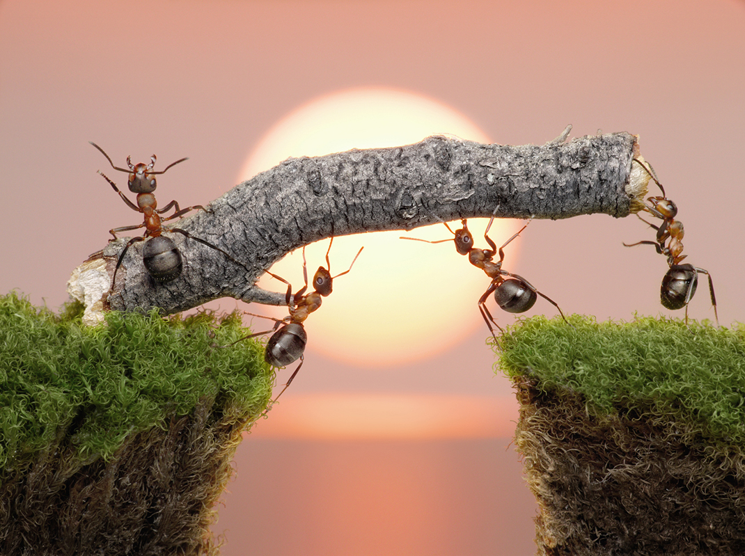 Coaching en management